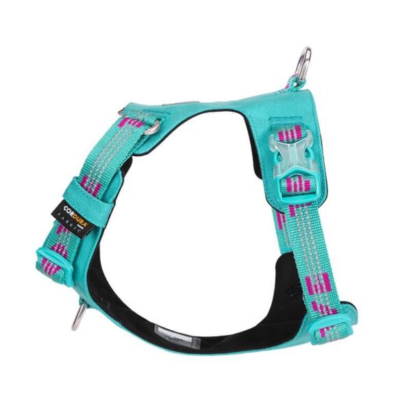 Szelki-dla-psa-Truelove-Adventure-Dog-blekitny (1) Szelki dla psa Truelove Adventure Dog błękitne