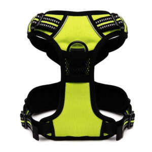 Szelki dla psa Truelove Front Line limonkowe