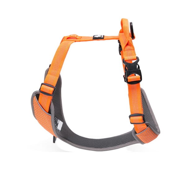 Szelki-dla-psa-Truelove-Lumen-pomaranczowe Szelki dla psa Truelove Lumen pomarańńczowe