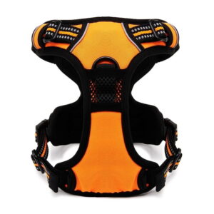 Szelki dla psa Truelove Front Line pomarańczowe