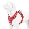 Szelki dla psa Truelove Blossom Premium czerwono-białe