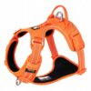 allegro_18662984075_1 Szelki dla psa Truelove Front Line Premium Cordura L pomarańczowe
